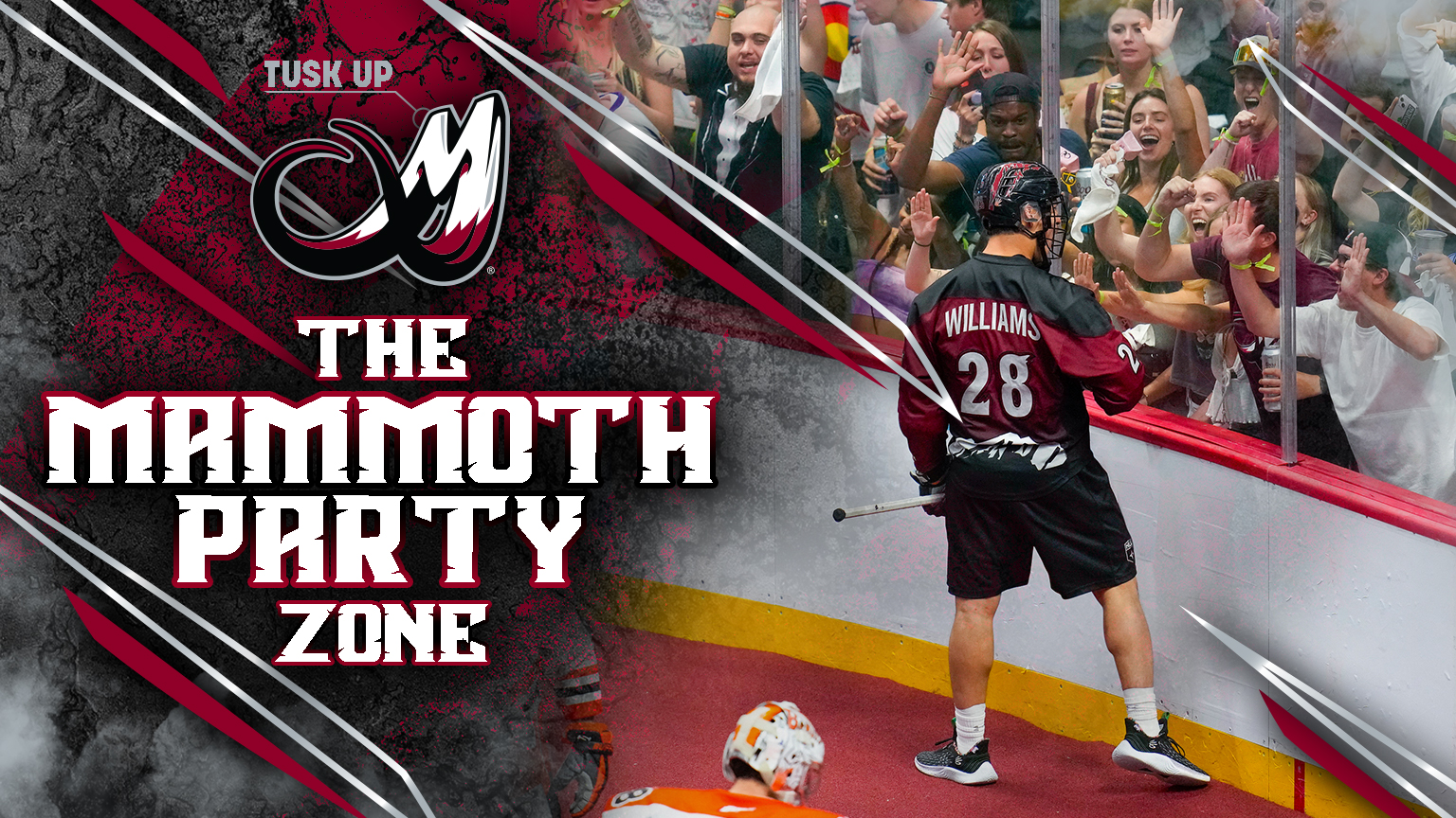 Mammoth Party Zone
