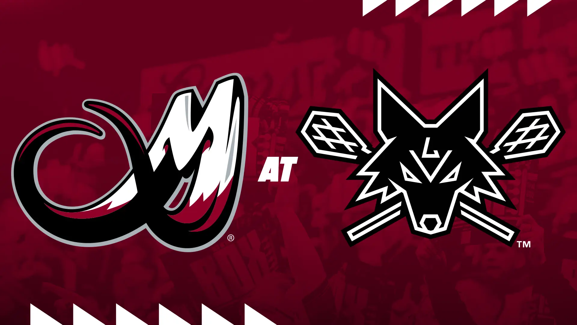 Mammoth at Desert Dogs