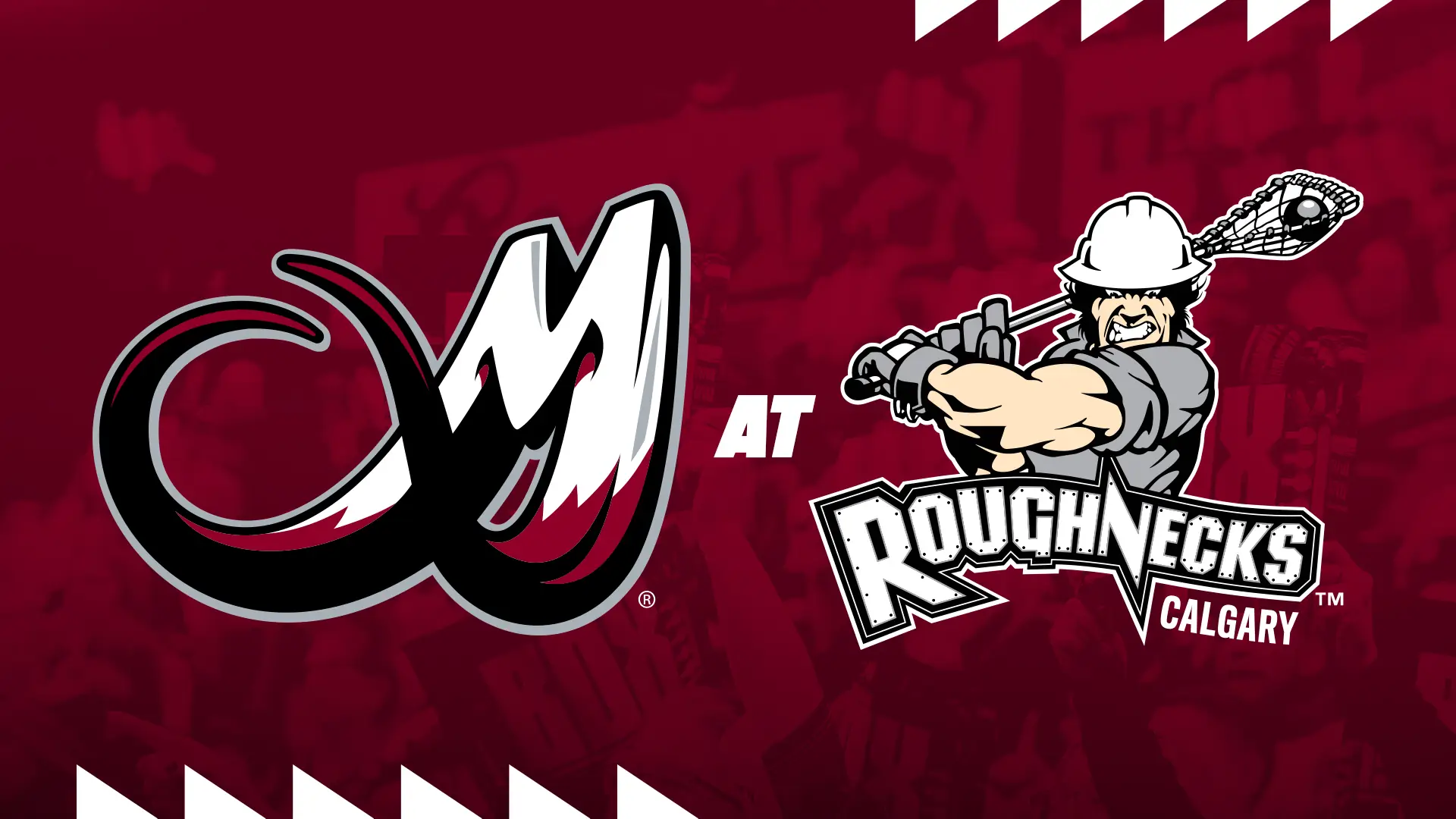 Mammoth at Roughnecks